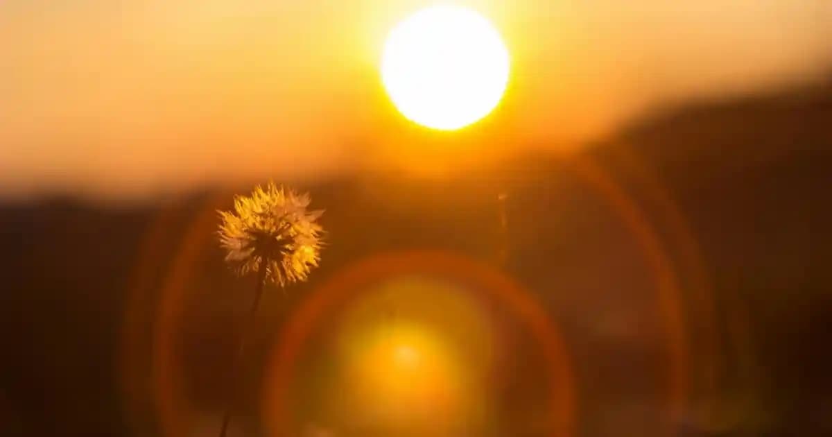 Migros'ta Domates Salça Fiyatları Güncel Durum ve Piyasa Analizi