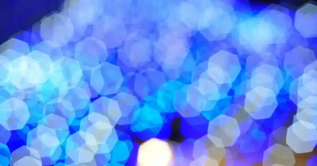 Migros'un Güvenilirliği ve Ulaşılabilirliği: Türkiye'nin Önde Gelen Perakende Zinciri