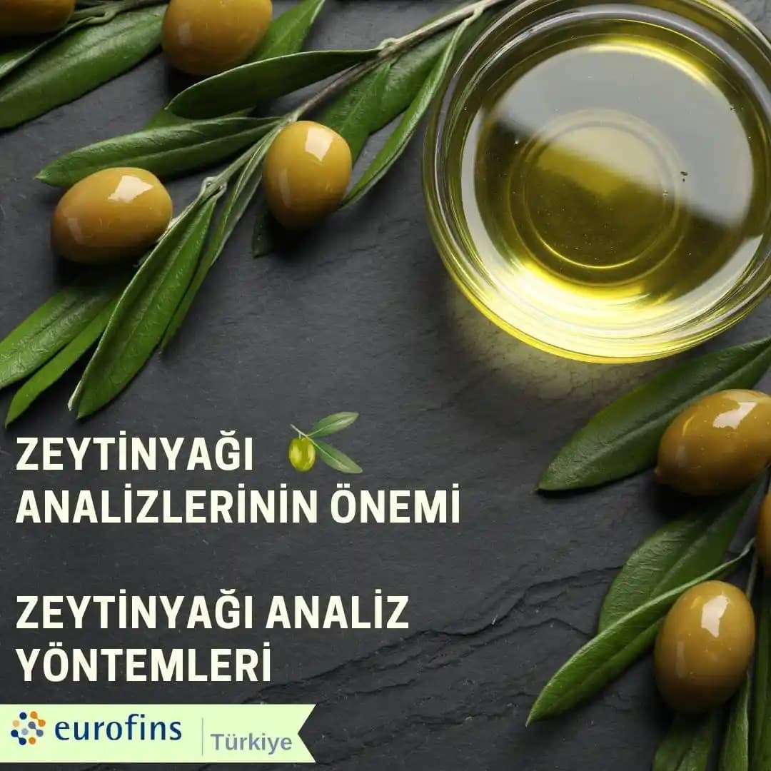 Muğla Zeytinyağı Tüketici Tercihleri ve Bölgesel Alışkanlıklar Analizi