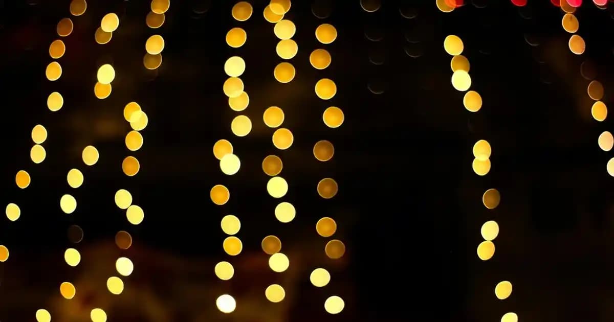 Organik Baharat Çubuk Tarçın: Sağlık ve Lezzet İçin Doğal Bir Seçenek