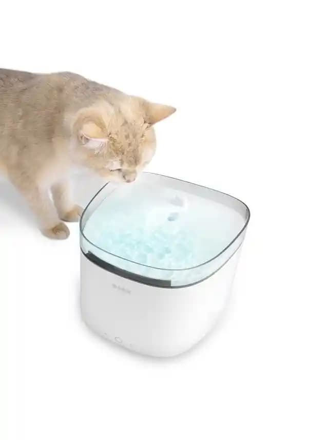 Otomatik Evcil Hayvan Sulama Sistemleri: Konfor ve Hijyen İçin Modern Çözümler