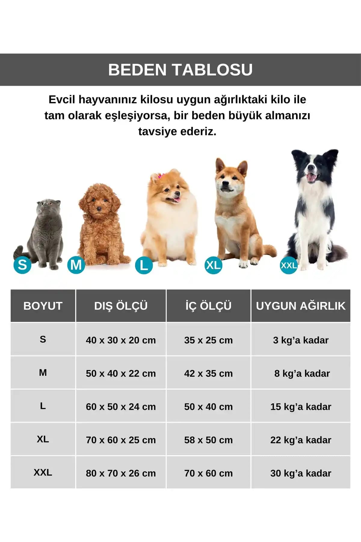 PET Malzemeleri: Özellikleri, Kullanım Alanları ve Güvenlik Durumu Hakkında Detaylı Bilgi
