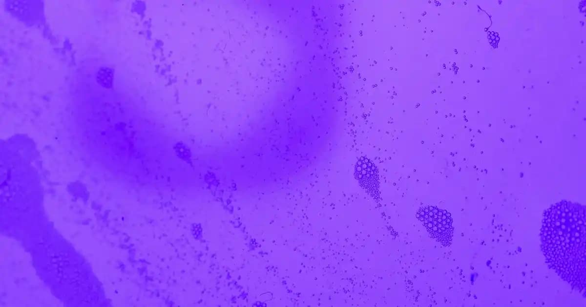 Petek Temizliği ile Enerji Verimliliğini Artırma ve Maliyetleri Azaltma Rehberi