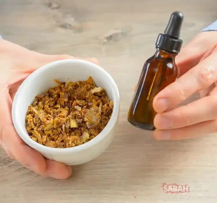 Propolis Macunları ile Bağışıklık Sistemini Güçlendirme Yöntemleri ve Faydaları