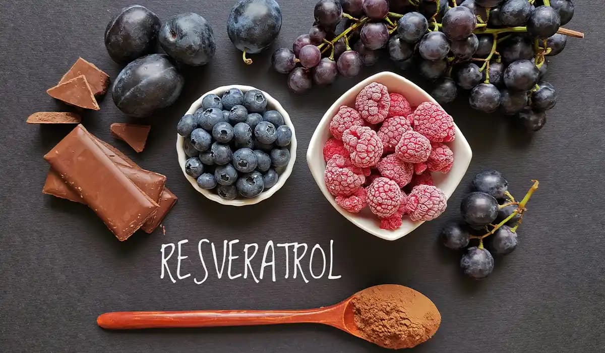 Resveratrol ve Sağlık Üzerindeki Etkileri Güncel Bilgi ve Tüketim Tavsiyeleri