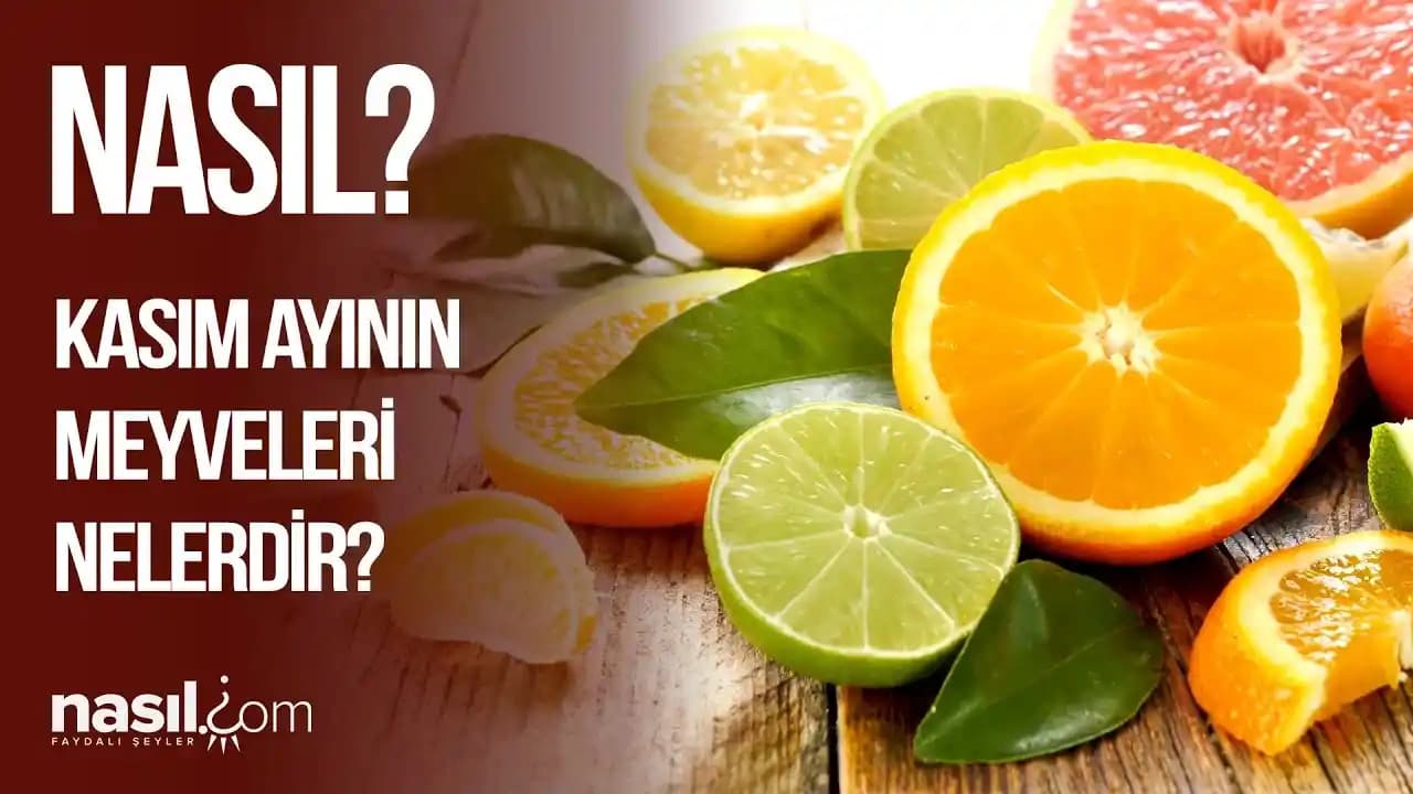 Sağlık İçin E Vitamini Zengini Meyveler: Kavun, Avokado ve Kayısının Faydaları