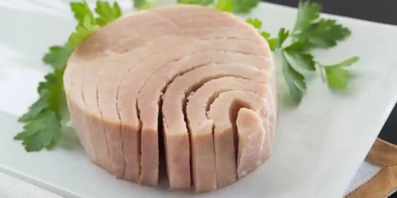 Sağlıklı Beslenme İçin Ton Balığı Alternatifleri ve Omega-3 Zengin Kaynaklar