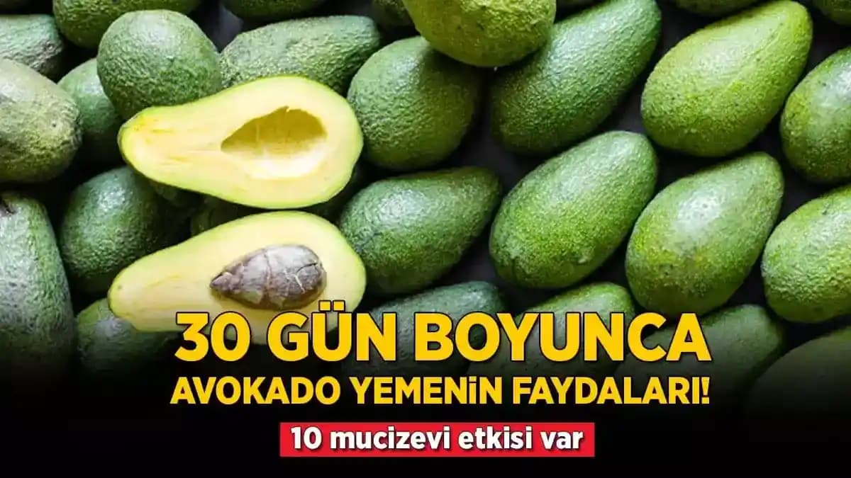 Sağlıklı Beslenmede Avokadonun Yeri ve Sağlık Üzerindeki Faydaları
