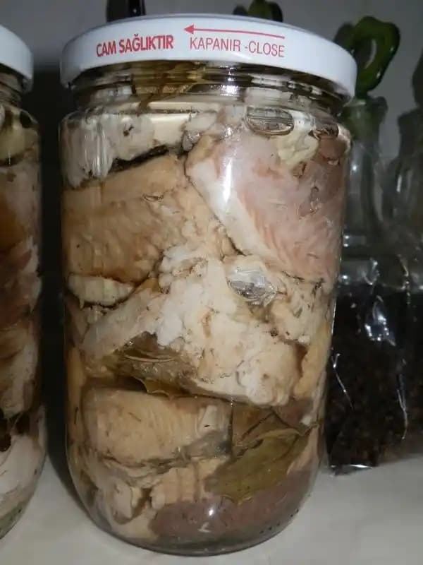 Sağlıklı Konserve Balık Alternatifleri ve Besleyici Seçenekler Rehberi