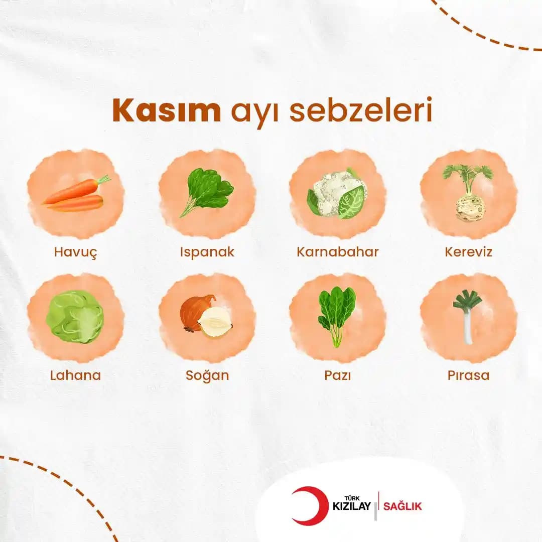 Sağlıklı Sebze Seçimi ve Tüketimi İçin Temel Kurallar ve İpuçları