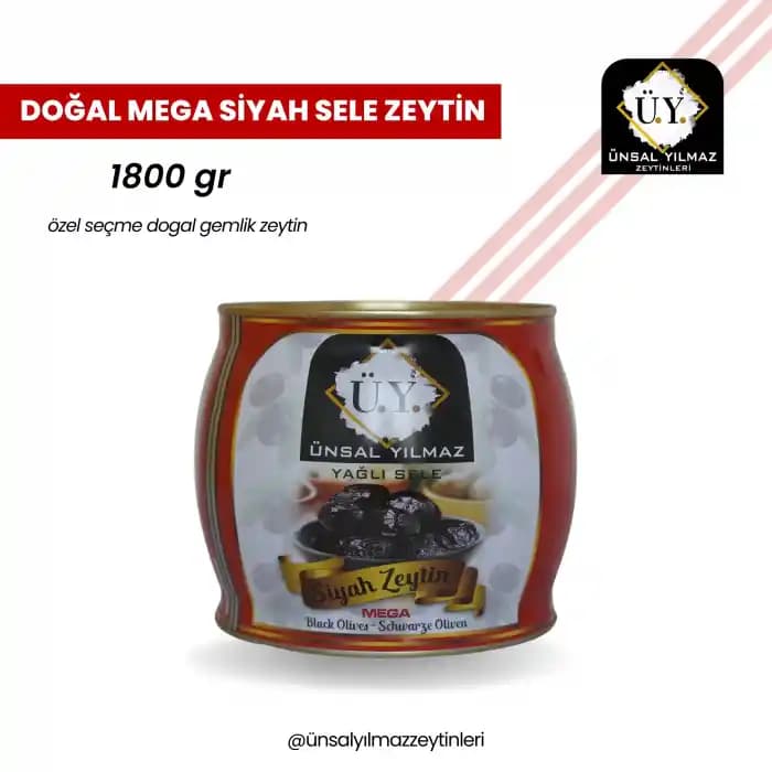 Sağlıklı ve Doğal Siyah Zeytin Alımında Dikkat Edilmesi Gerekenler