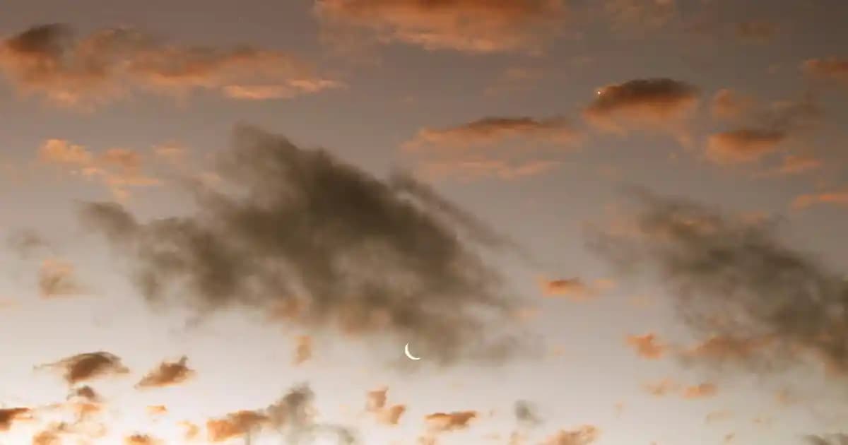 Samyang Buldak Carbo Ramen: Baharat ve Karbonhidrat Dengesiyle Pratik ve Lezzetli Gıda Seçeneği