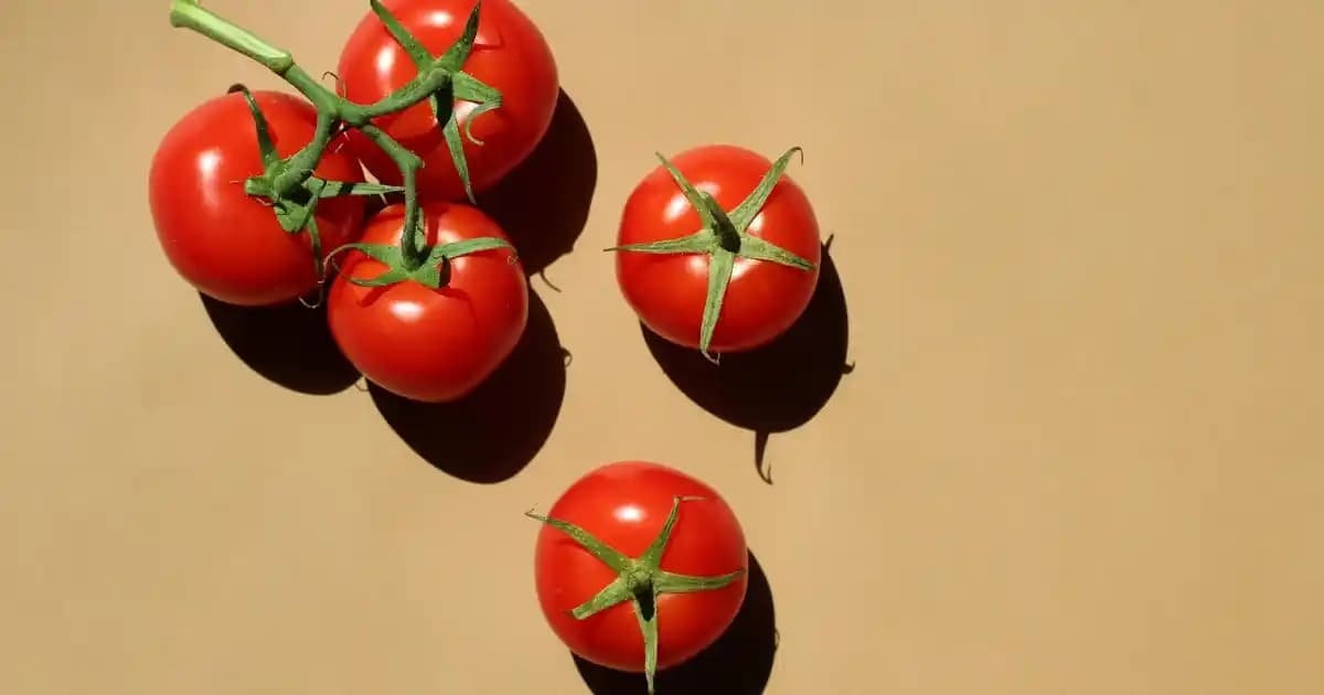 Samyang Buldak Carbo Ramen: Baharatlı ve Pratik Yüksek Karbonhidratlı Yemek Seçeneği