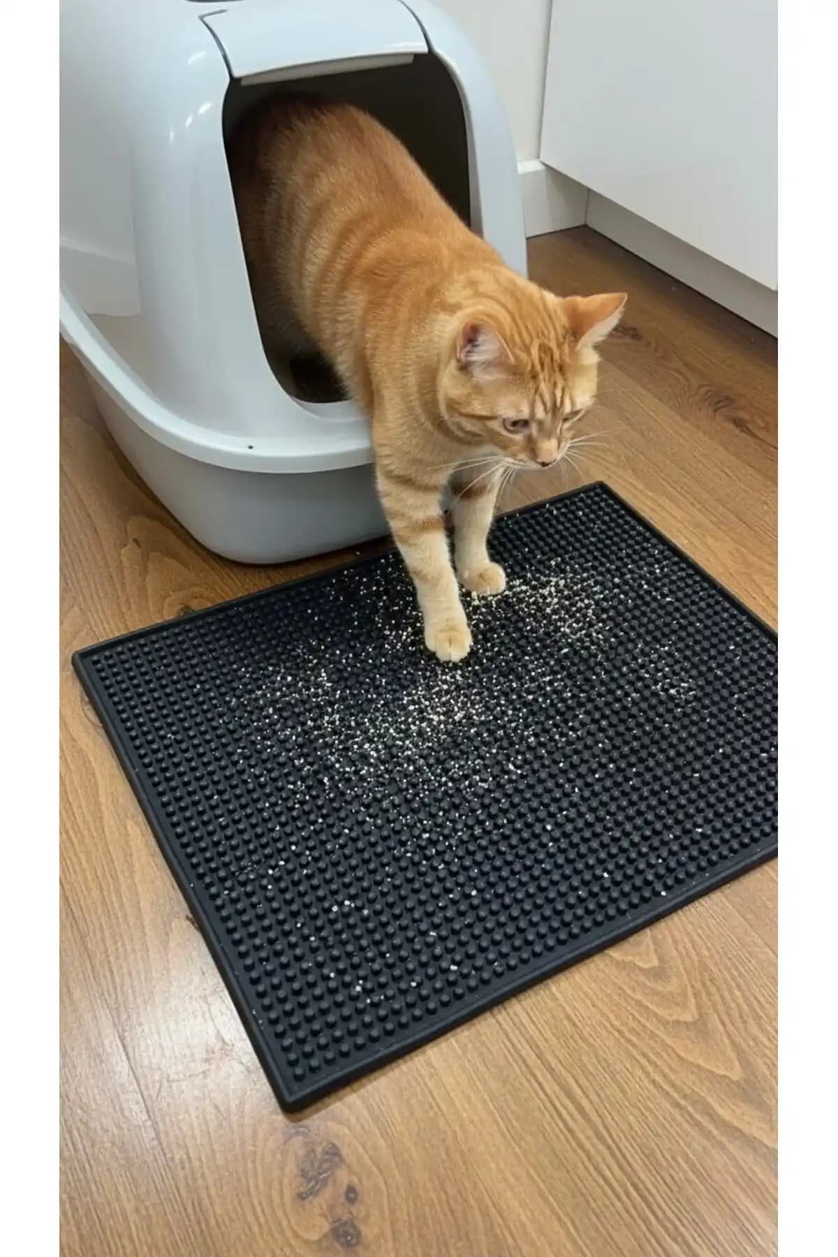 Silikon Bazlı Kedi Kumu Paspası: Dayanıklı ve Hijyenik Temizlik Çözümü