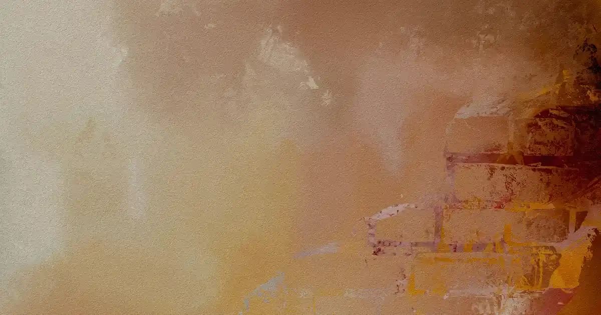 Solo markası rulo havlu kalite karşılaştırması ve tüketici önerileri