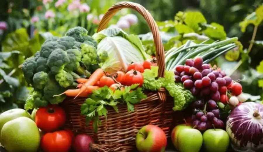 Sürdürülebilir Online Sebze Alışverişi: Güncel Trendler ve Gelecek Perspektifleri