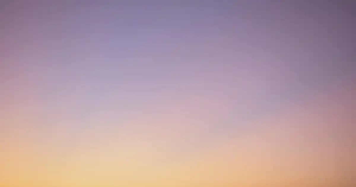 Sürdürülebilir Taze Sebze Satışında Güncel Yaklaşımlar ve Trendler Analizi