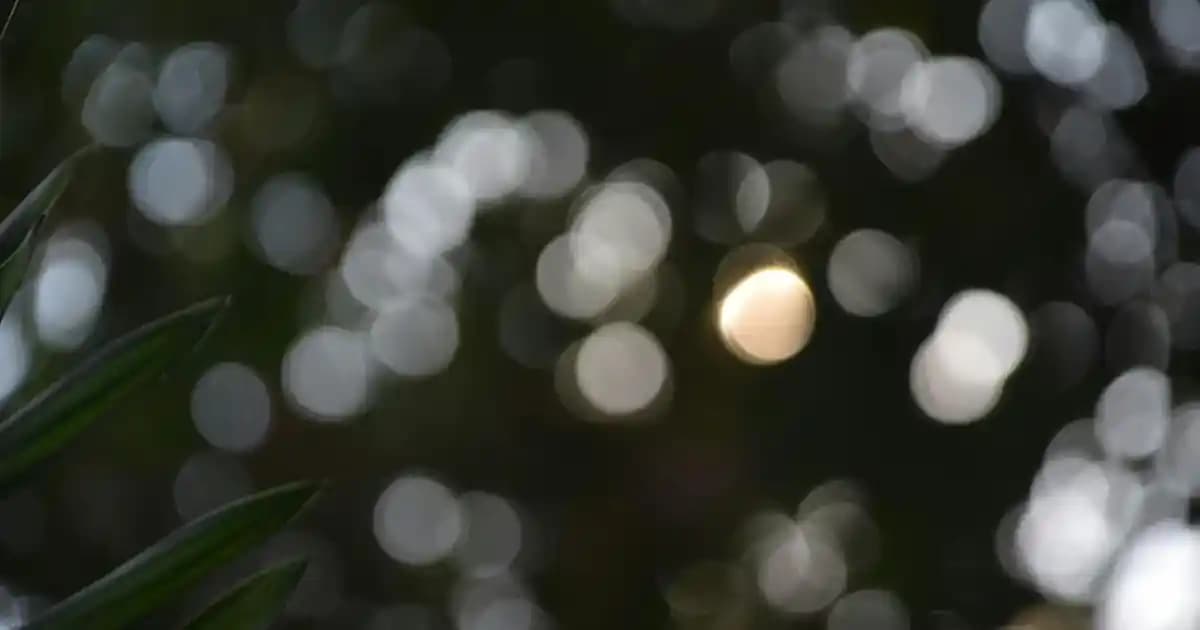 Tavuk Göğsü Gramajları ve Besin Değerleri: Sağlıklı Beslenme İçin Bilmeniz Gerekenler