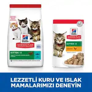 Ton Balıklı Yavru Kedi Mamaları: Sağlıklı Gelişim İçin En İyi Seçenekler ve İpuçları