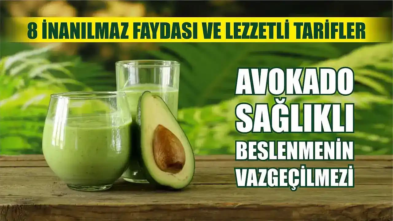 Türkiye Menşei Sağlıklı Avokado: Üretim, Pazar Durumu ve Fırsatlar