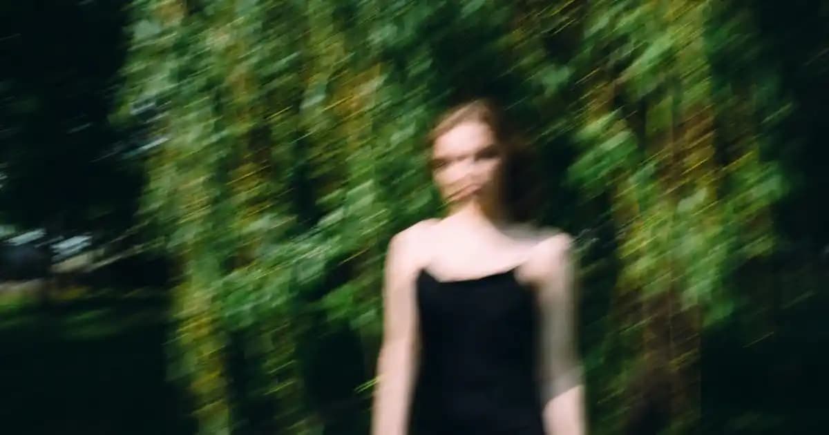 Türkiye'nin Siyah Zeytin Çeşitleri ve Bölgesel Özellikleri Hakkında Kapsamlı Bilgi