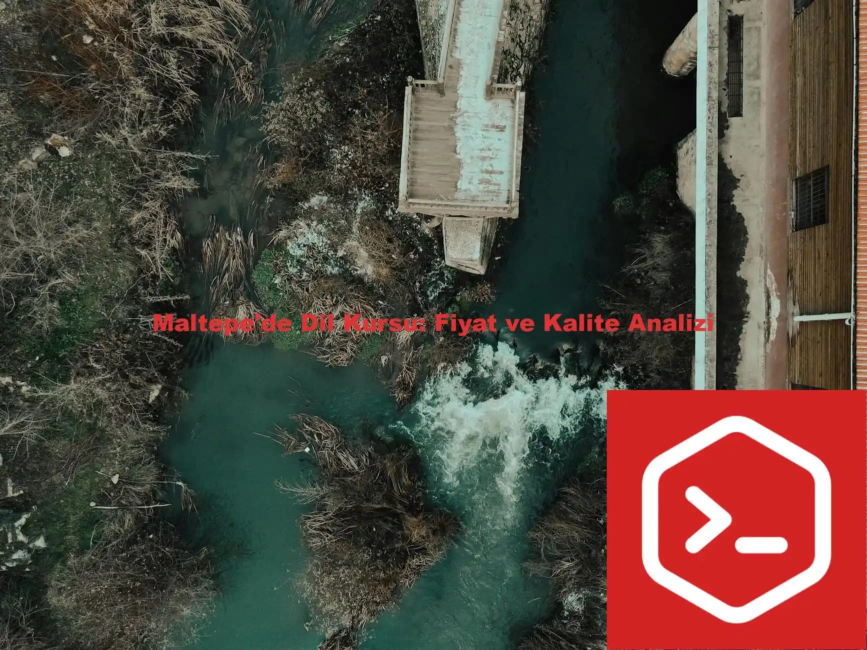 Un Seçiminde Fiyat ve Kalite Karşılaştırmasıyla Akıllı Alışveriş Rehberi