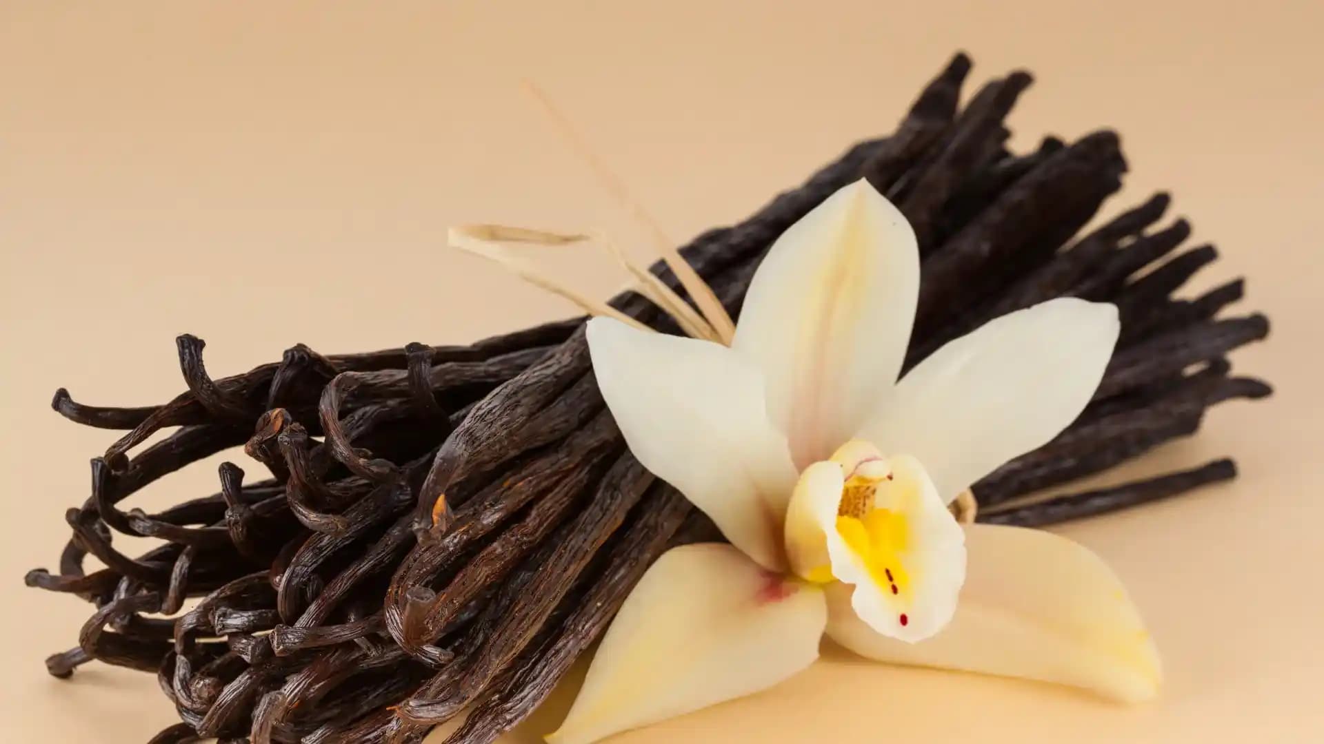 Vanilin Kullanım Rehberi: Temel Bilgiler ve Uygulamalar