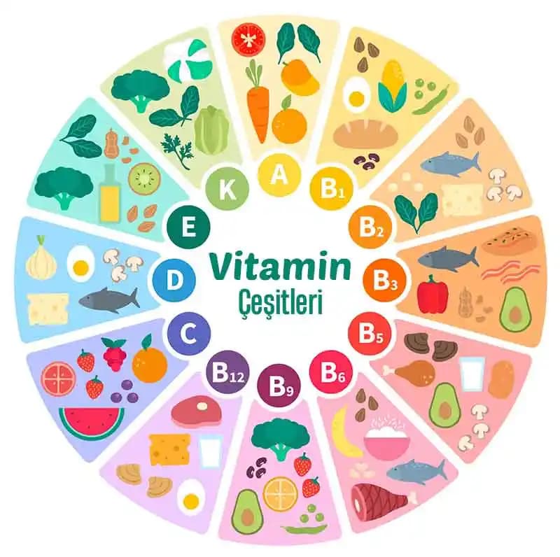 Vitamin İçeriği ve Besin Çeşitleri: Günlük Sağlık İçin Temel Bilgiler