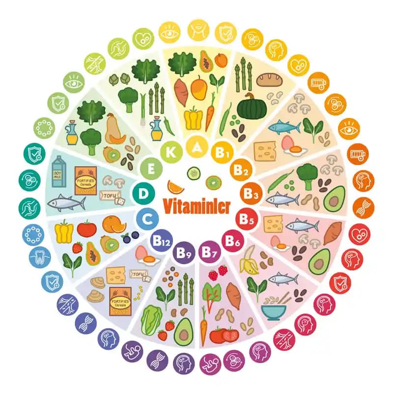 Vitamin Türleri ve Besin Kaynakları: Sağlıklı Bir Yaşam İçin Bilmeniz Gerekenler