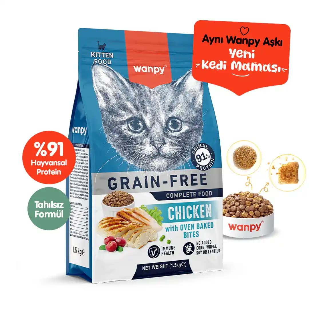 Yavru Kedi Gelişimini Destekleyen Protein ve Vitamin Zengini Mama Seçenekleri