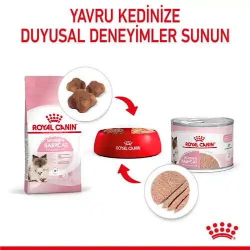 Yavru Kedi Mamalarında Hill's ve Royal Canin Markalarının Sağlıklı Büyüme Üzerindeki Etkileri