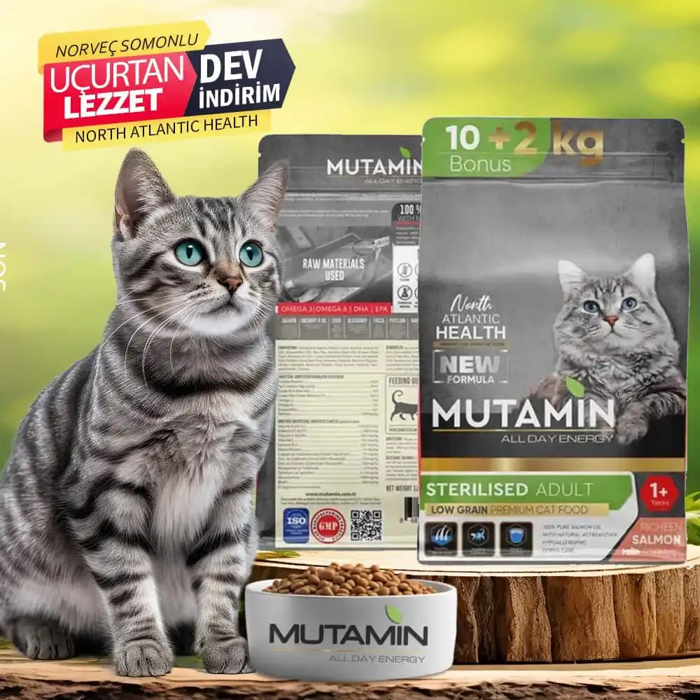 Yetişkin Kediler İçin Somonlu Kedi Mamaları: Sağlıklı ve Lezzetli Seçenekler