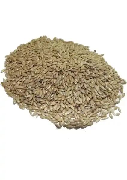 Glory Sade Kanarya Yemi Aspur 1 kg: Kanaryalar İçin Dengeli ve Sağlıklı Beslenme Çözümü