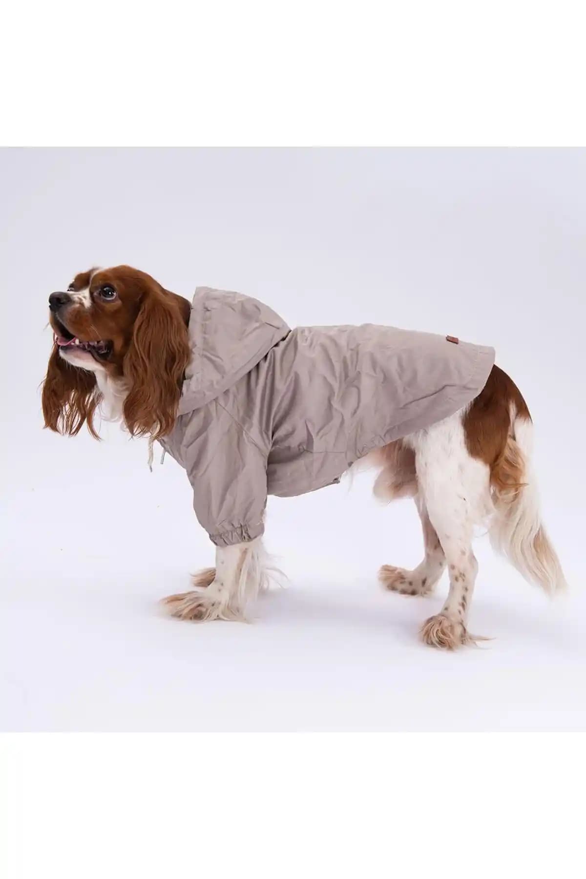 Pettrend Vizon Mont Köpek Montu: Su Geçirmez, Polar Astarlı Fonksiyonel Dış Giyim