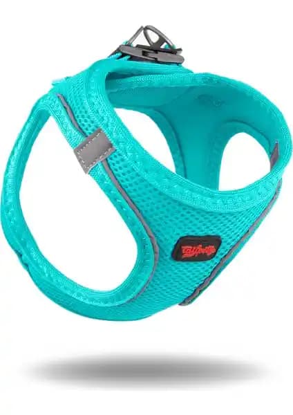 TailPetz Air-Mesh Harness: Küçük Köpekler İçin Serinletici ve Güvenli Göğüs Tasması