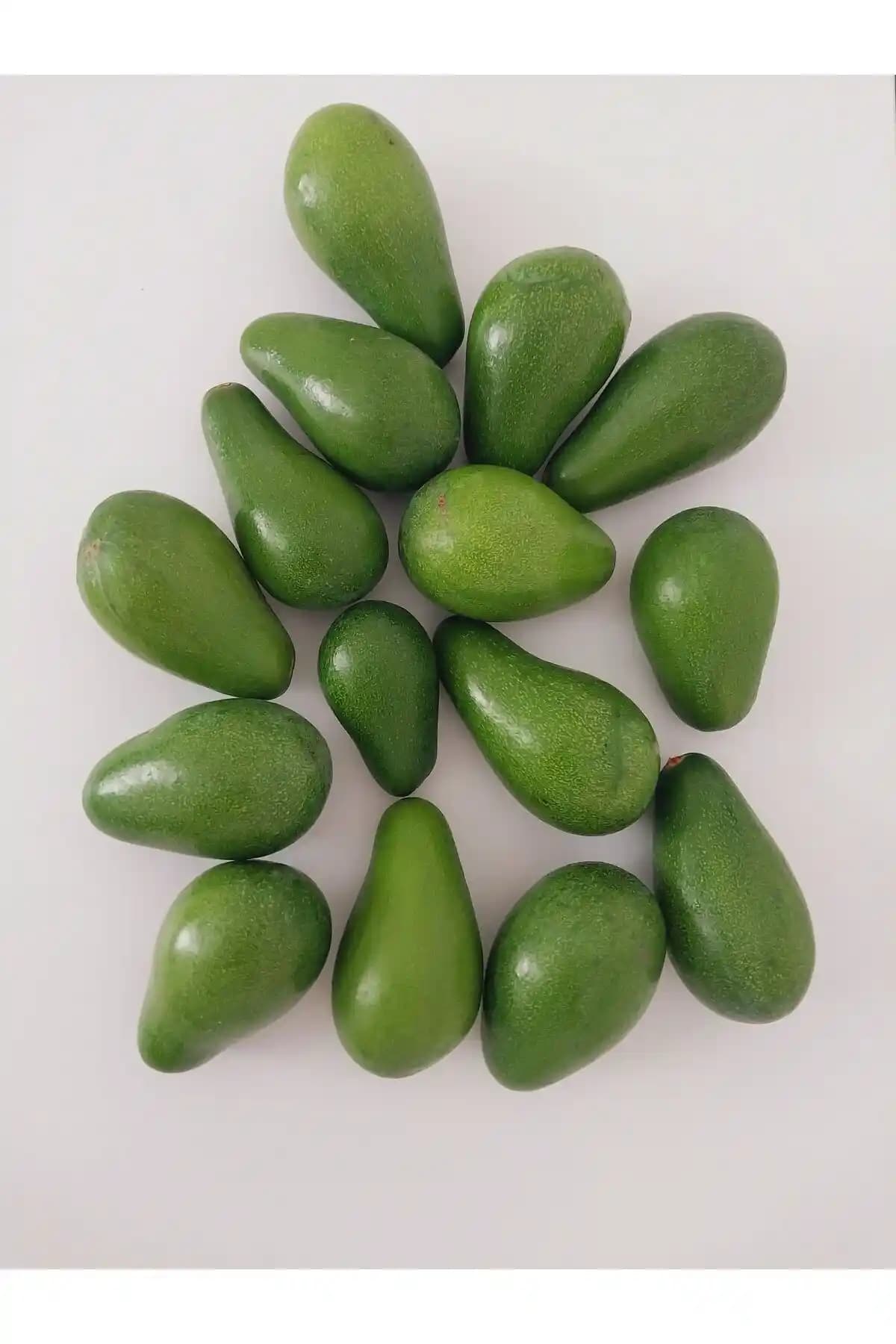 Tropik Anamur 1 Kg Taze Hasat Avokado: Doğal, Sağlıklı ve Lezzetli Seçenek