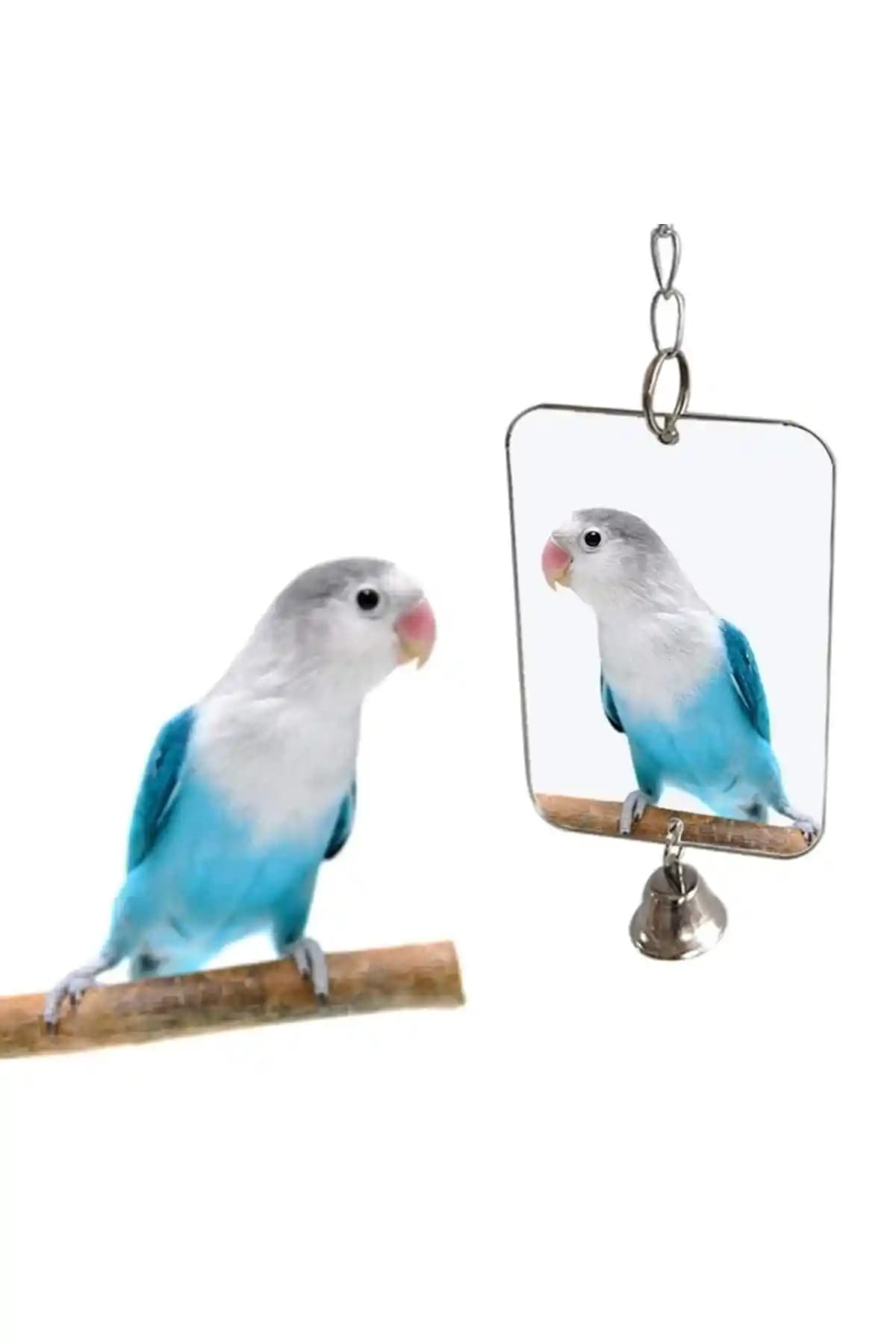 UniqBirdToys Zilli Dikdörtgen Kuş Aynası Oyuncağı: Muhabbet Kuşları İçin Fonksiyonel ve Eğlenceli Aksesuar