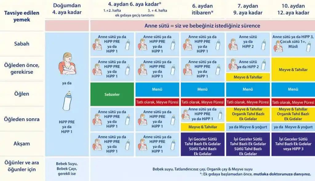 8 Aylık Bebekler İçin En Uygun Beslenme Saatleri ve Gelişim İçin İpuçları