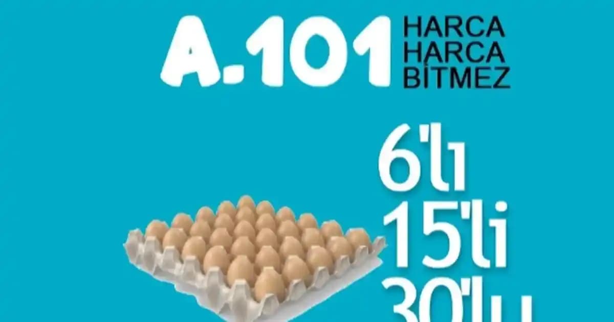A101 Marketlerinde Yumurta Fiyatları 2024 Güncel Durum ve Piyasa Analizi