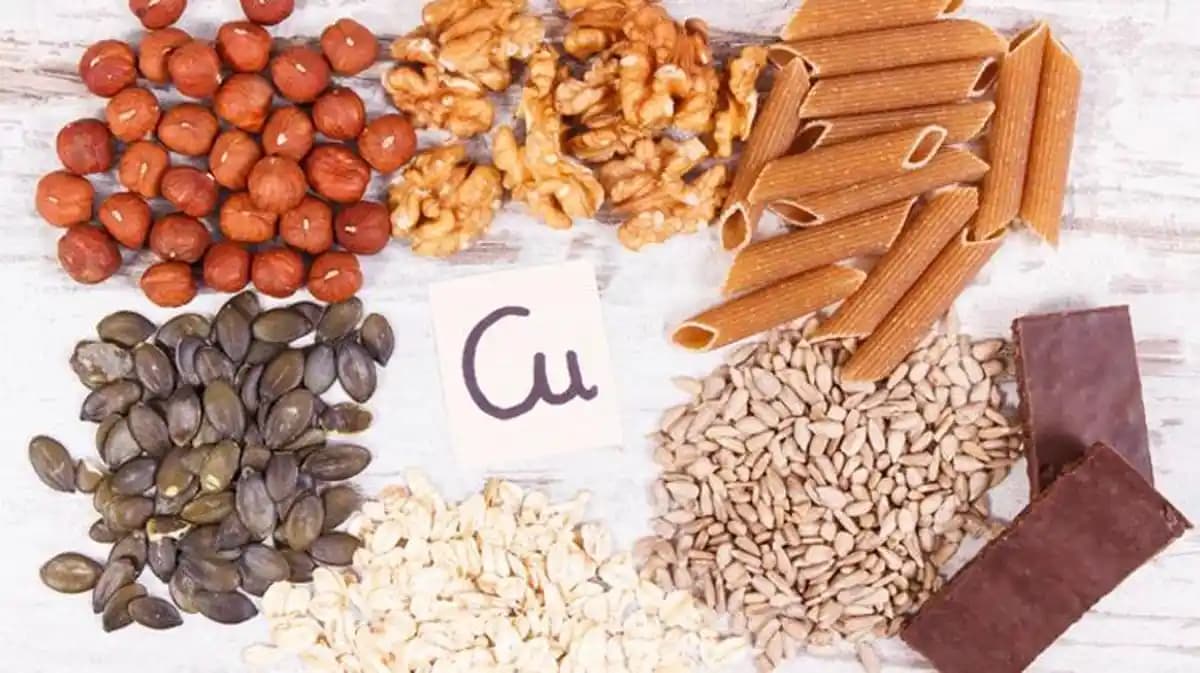 Bakır İçeren En Yüksek Besinler ve Sağlığa Faydaları Hakkında Kapsamlı Rehber
