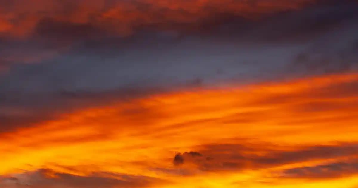 Cielo Pinot Grigio: Kaliteli ve Ferahlatıcı Beyaz Şarap Deneyimi İçin Rehber