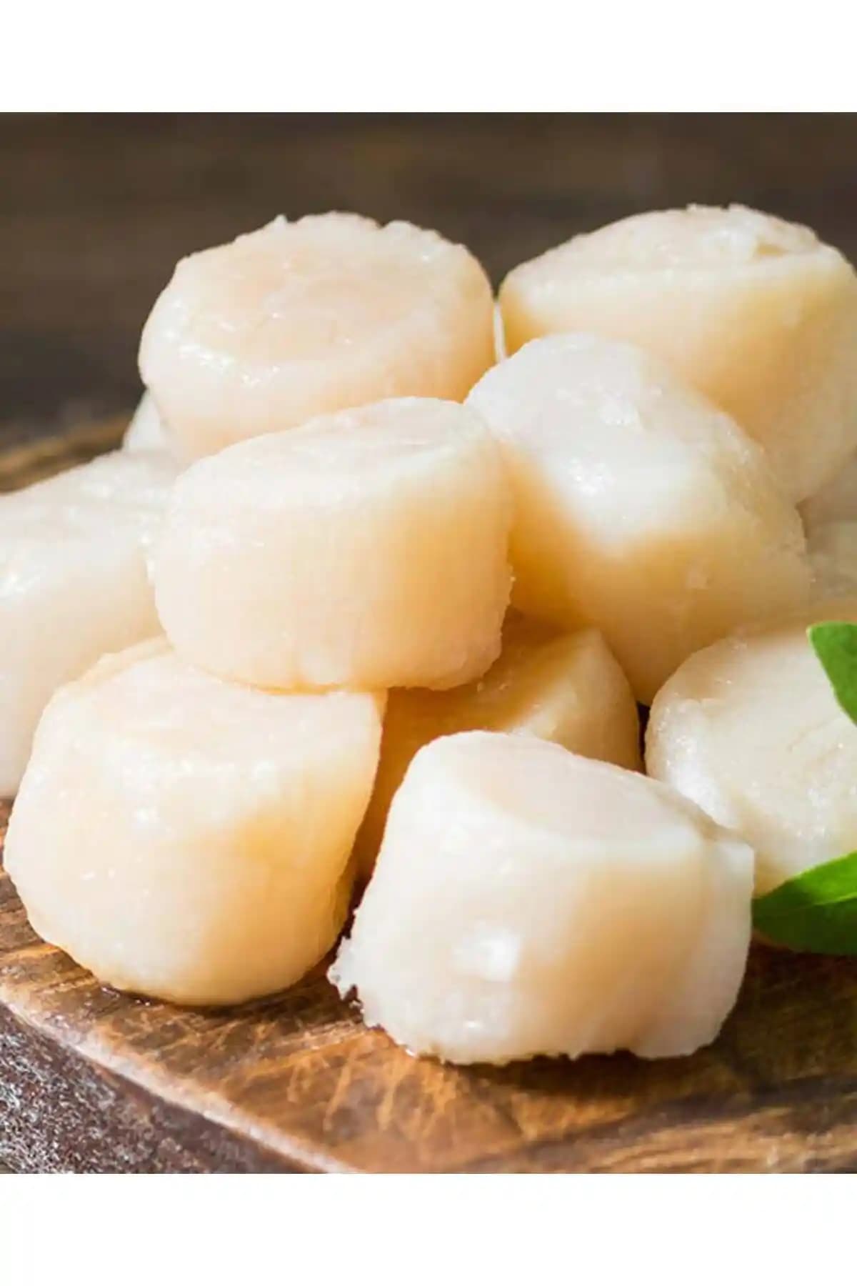 Deniz Tarağı Fiyatları ve Satın Alma İpuçları: Sağlıklı Deniz Ürünleri Seçenekleri