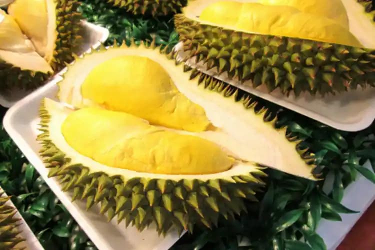 Dünyanın En Pahalı Meyvesi Yubari Melonu ve Lüksün Simgesi Olması