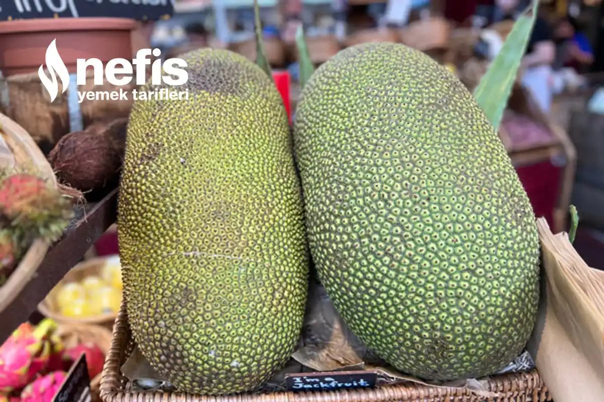 Egzotik Meyveler: Sağlıklı Yaşam İçin Renkli ve Lezzetli Alternatifler