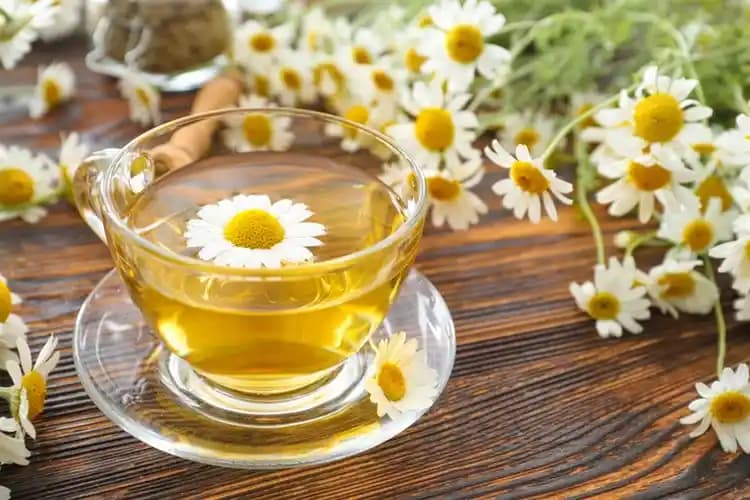 Emzirirken Papatya Çayı Kullanımı: Güvenlik ve Dikkat Edilmesi Gerekenler