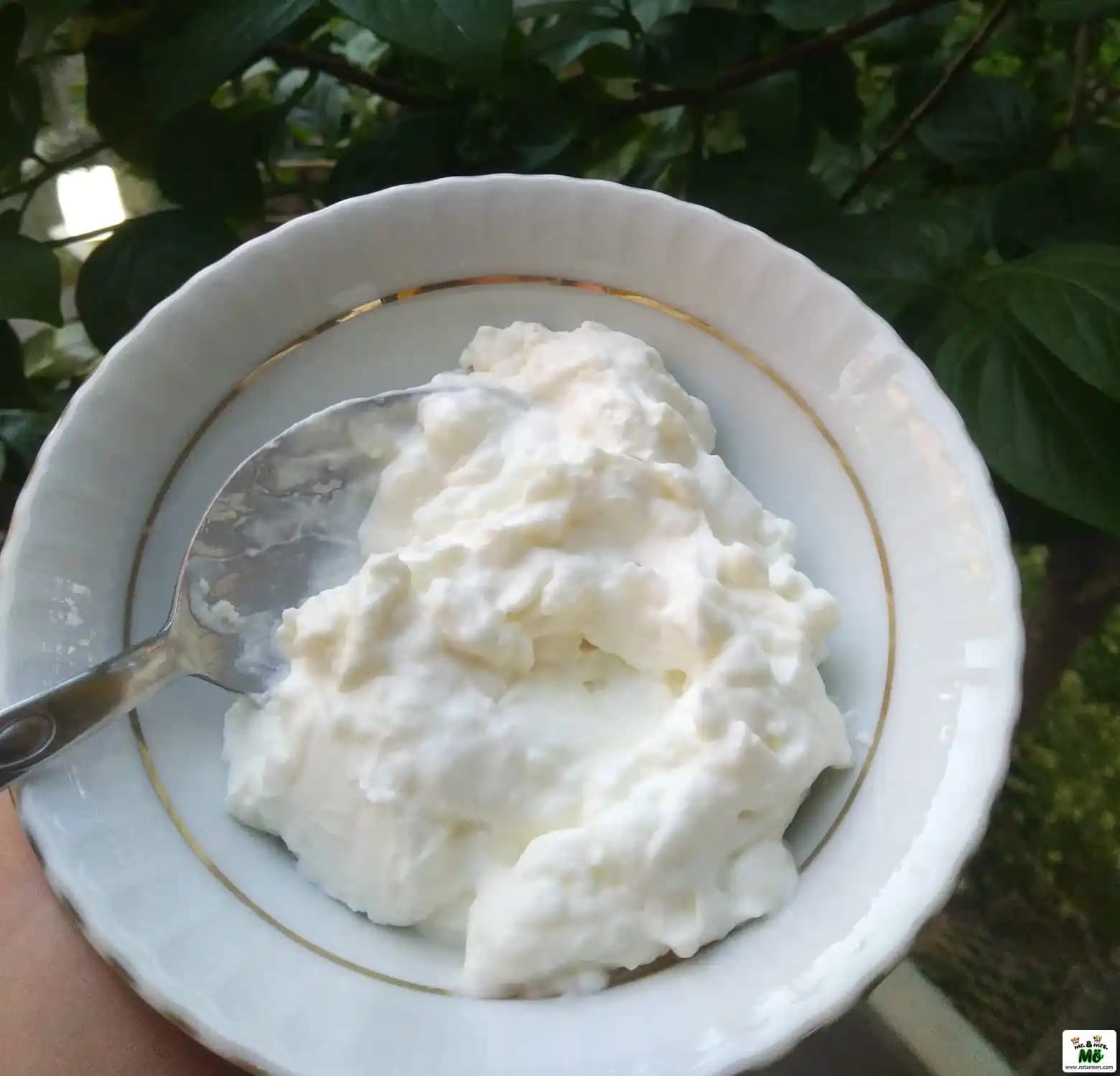 Evde Süzme Yoğurt Yapımı: Sağlıklı ve Ekonomik Bir Tarif Rehberi