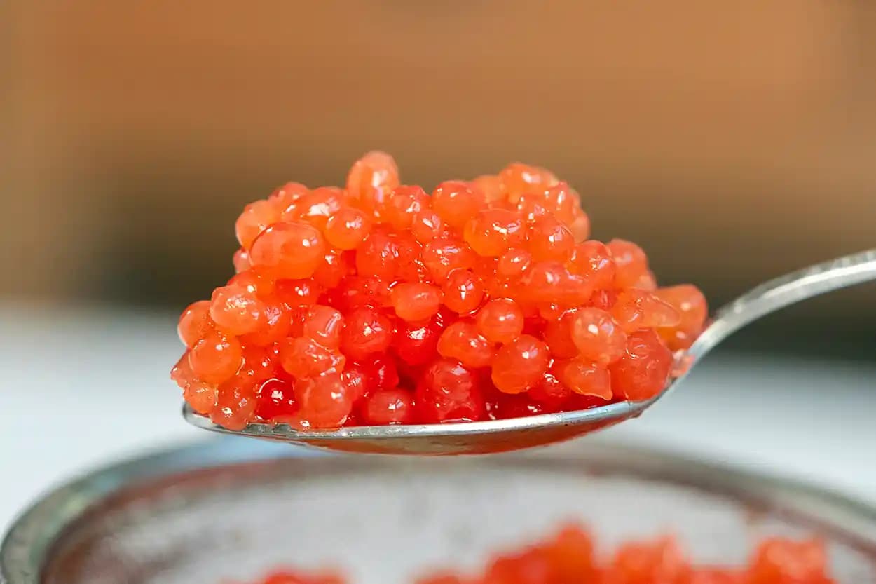 Havyar Nedir? Türleri, Sağlık Faydaları ve Saklama İpuçlarıyla Lüks Bir Lezzet