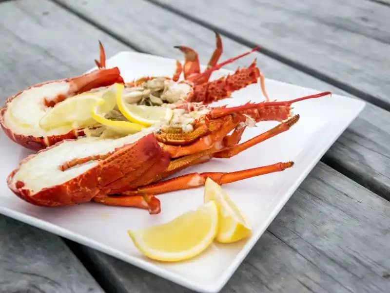 Kerevit Nedir ve Sağlıklı Beslenmede Önemi Hakkında Kapsamlı Bilgi