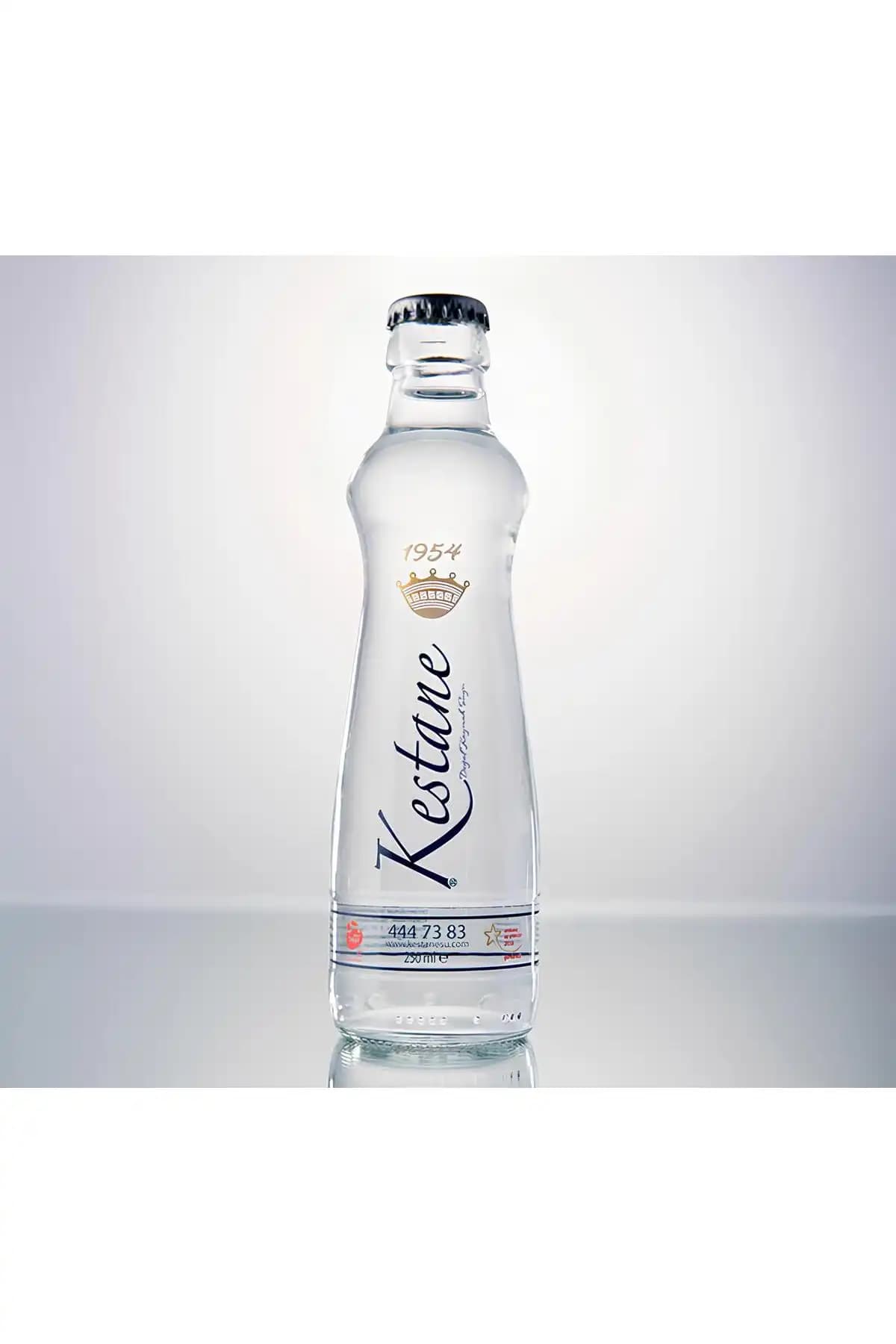 Kestane Suyu Nedir ve Sağlık Faydaları Nelerdir