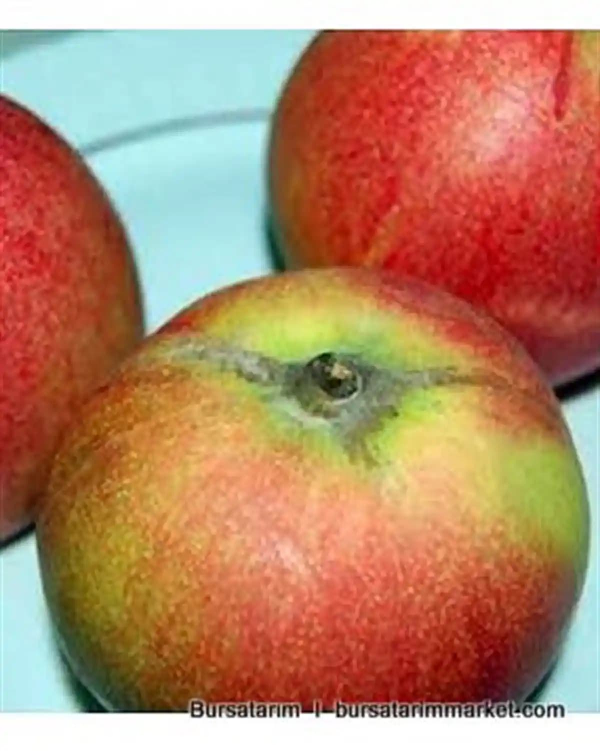 Kırmızı Ayva Nedir, Faydaları ve Kullanım Alanlarıyla Sağlıklı Beslenme İçin Önemli Bir Meyvedir